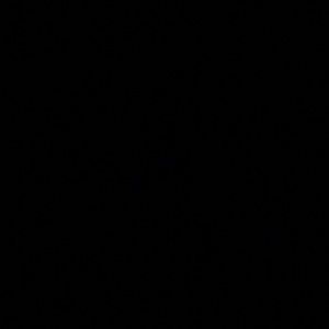 Meet your Posher, Lillian